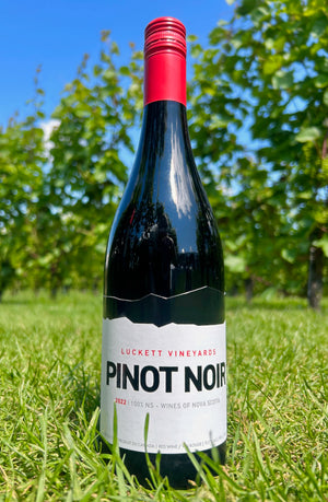 Pinot Noir